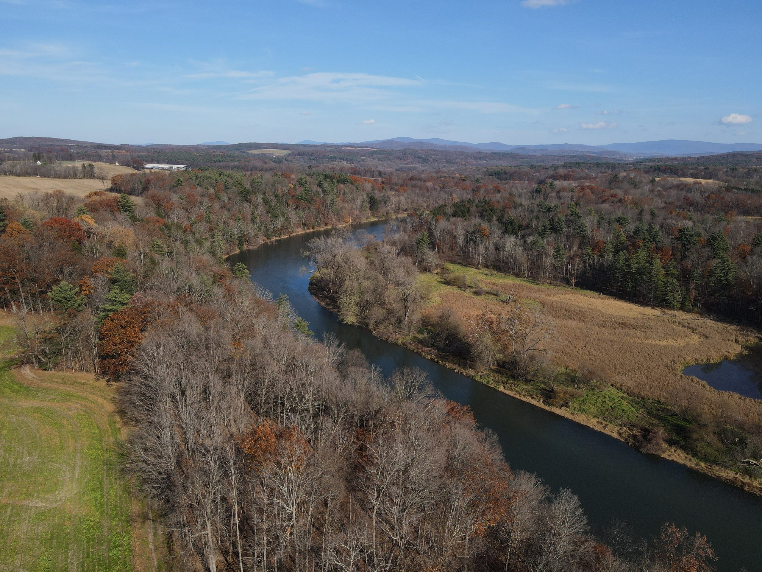 A river surrounded by trees in the countryside
